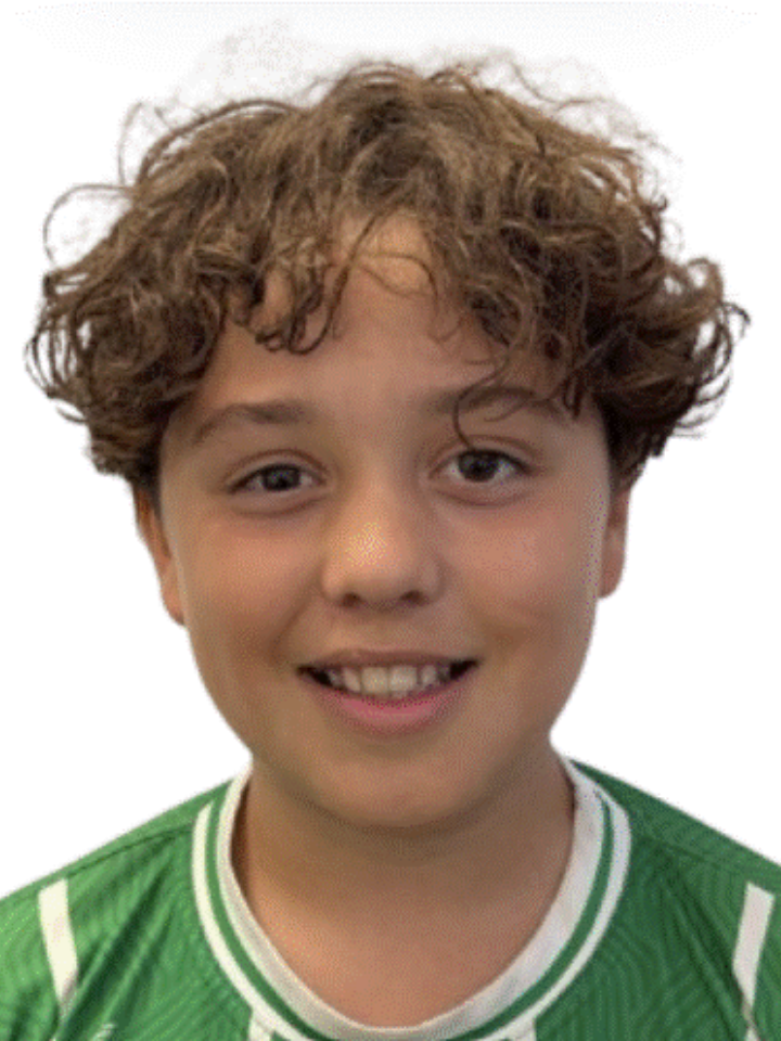 Viriato Ferreira