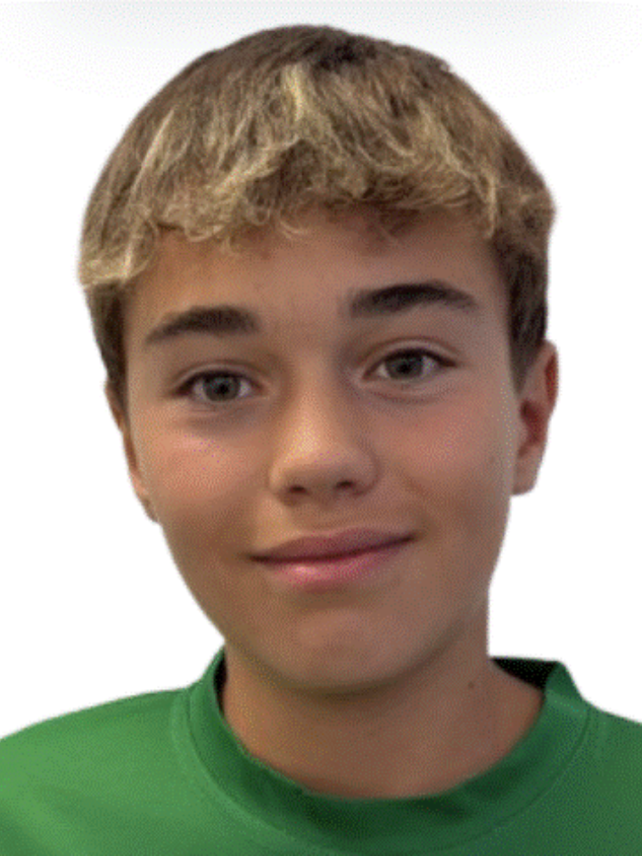 Dinis Gomes