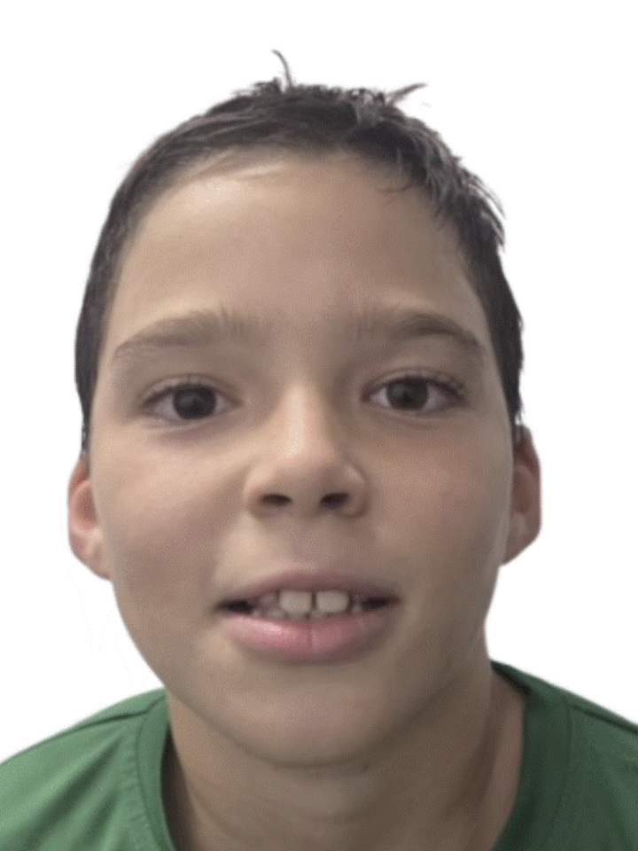 Gonçalo Meneses